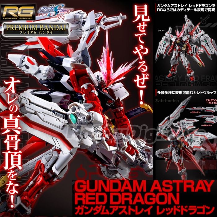 Premium Bandai RG Model Kits - 1/144 Gundam Astray Red Dragon