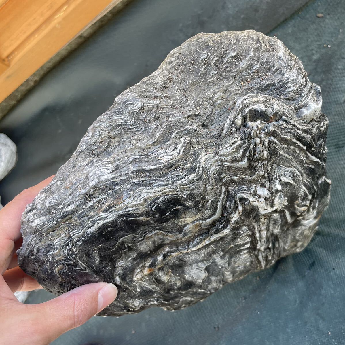 黒色片岩 庭石 鑑賞石 自然石 水石 天然石 盆石｜Yahoo!フリマ（旧