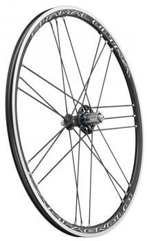 CAMPAGNOLO 2024 SHAMAL ULTRA C17 2WAY-FIT CAMPA UD カンパニョーロ