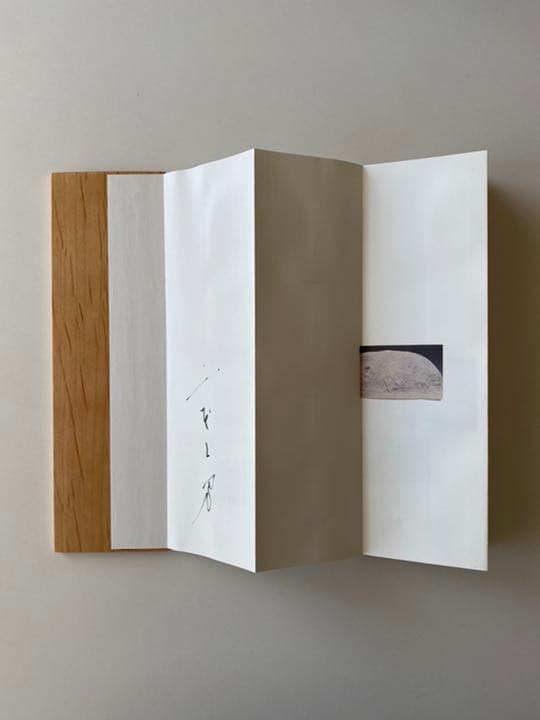 山本昌男 Masao Yamamoto 写真集 オオミズアオ サイン入り - メルカリ