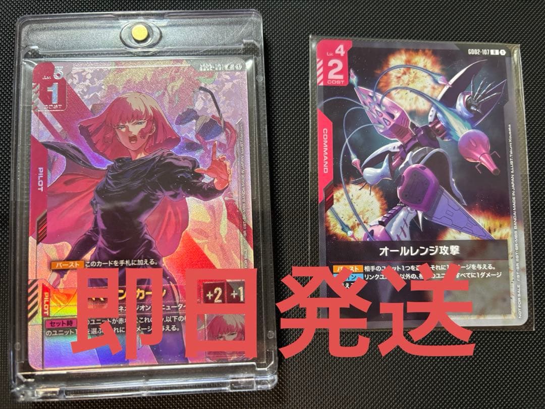 ハマーン+オールレンジ攻撃 ニュータイプチャレンジ上位賞セット