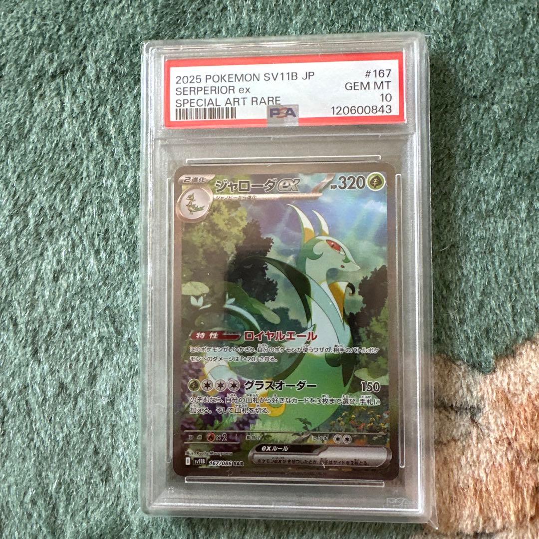 ジャローダsar psa10 ジャローダsar psa10｜Yahoo!フリマ（旧PayPayフリマ）