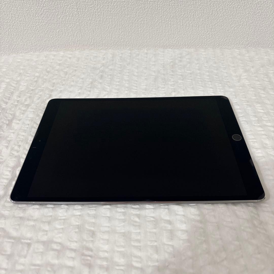 Apple iPad Pro 10.5インチ 純正Apple Pencil付き Apple Pencil（第1世代）【12.9インチ iPad Pro(第2/1世代)・10.5